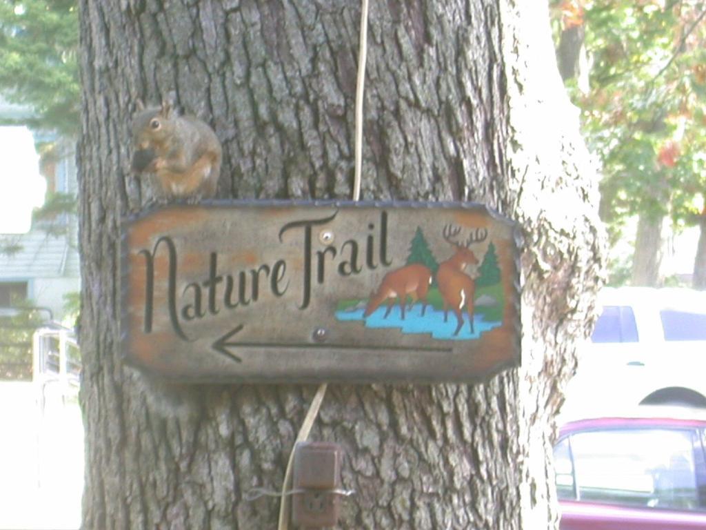 Indian Trail Motel Wisconsin Dells