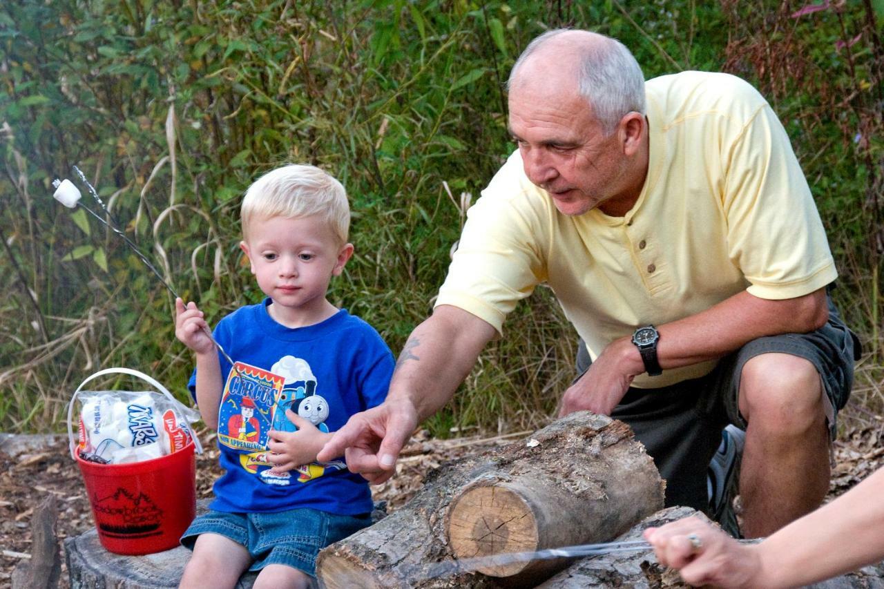 Log At Meadowbrook Guest house
